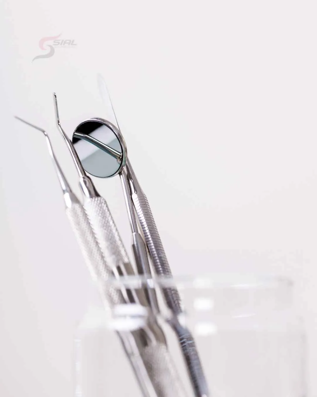Root canal explorers 6 piece endodontic set